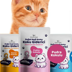 Kedi Kumu Koku Gidericiler
