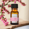 Sakura Çiçeği Aromaterapi  Esansiyel Buhurdanlık Yağı 10 ml